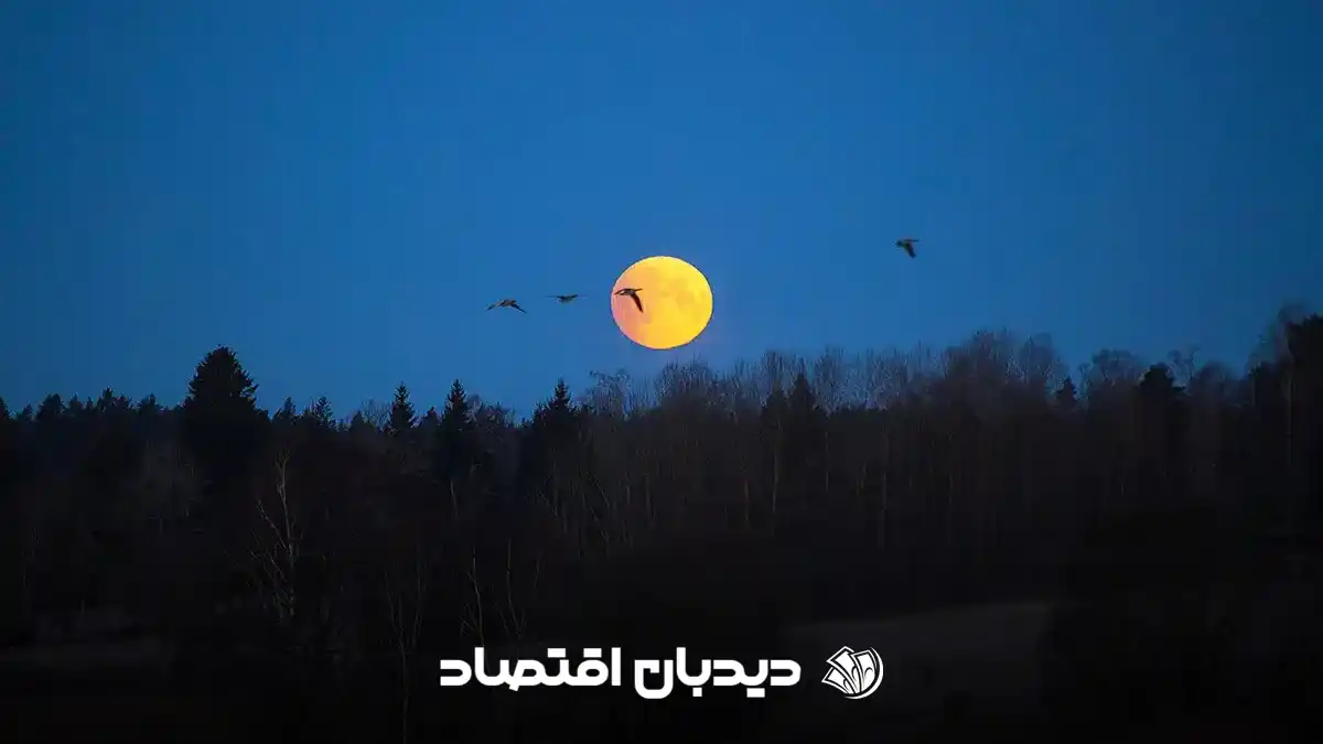 روز جهانی ماه