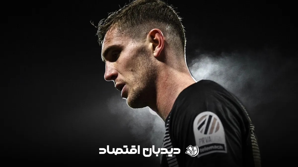 ناردین ملاحسینوویچ
