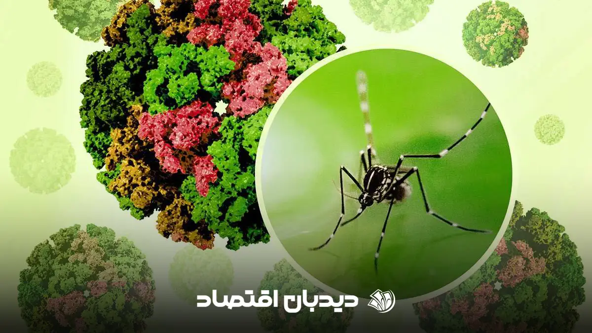 ویروس چیکونگونیا