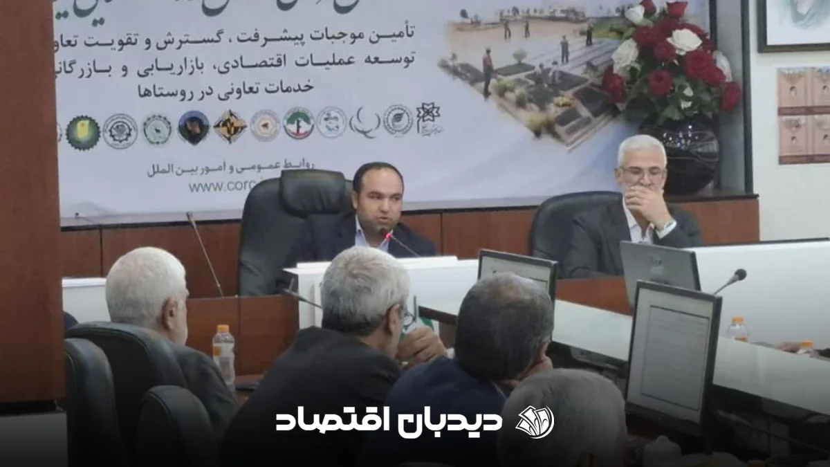 هادی زرقانی