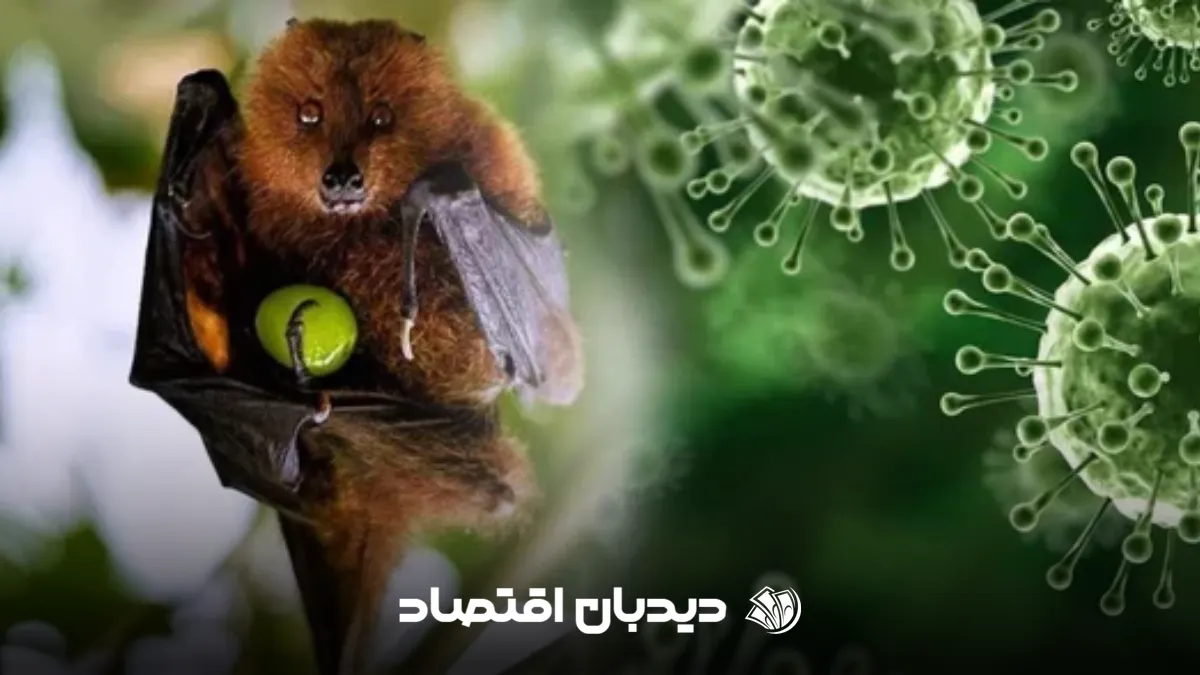 ویروس نپیا