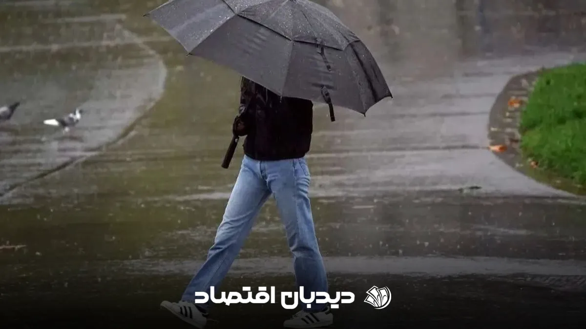 بارش باران