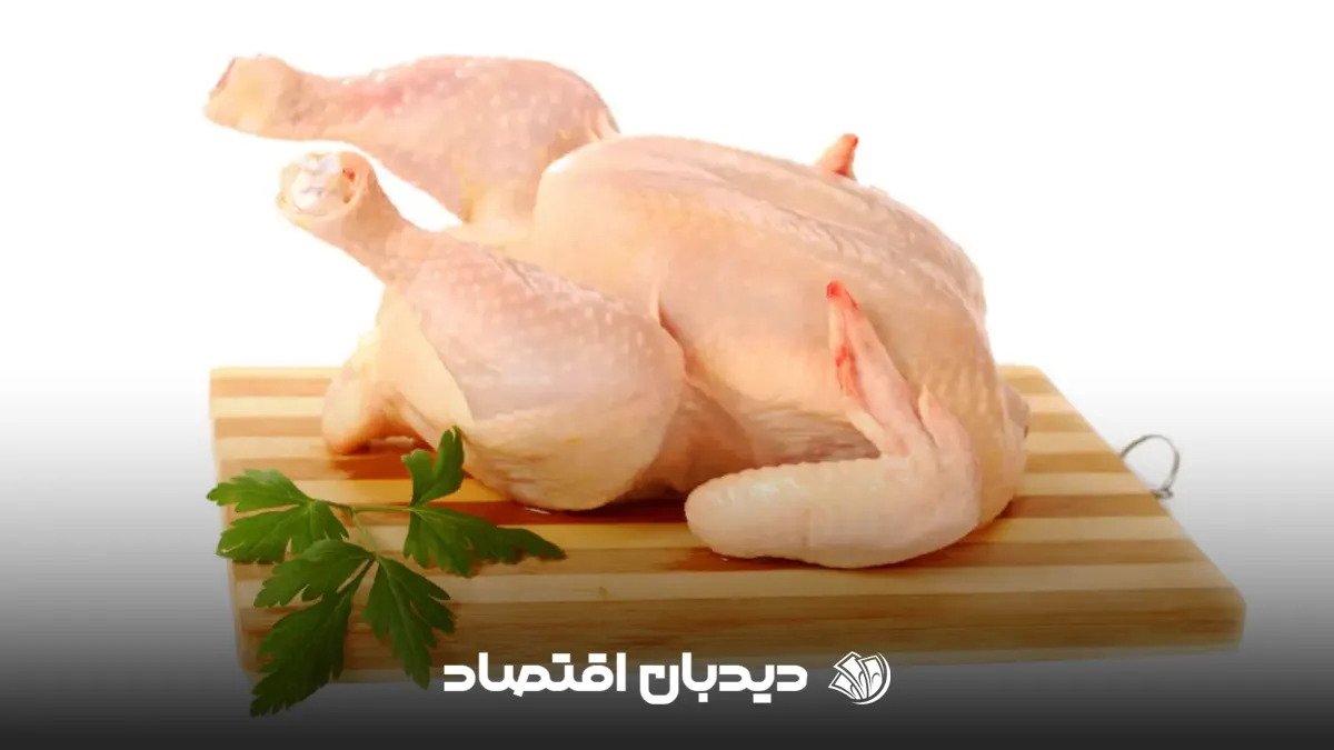 قیمت گوشت مرغ