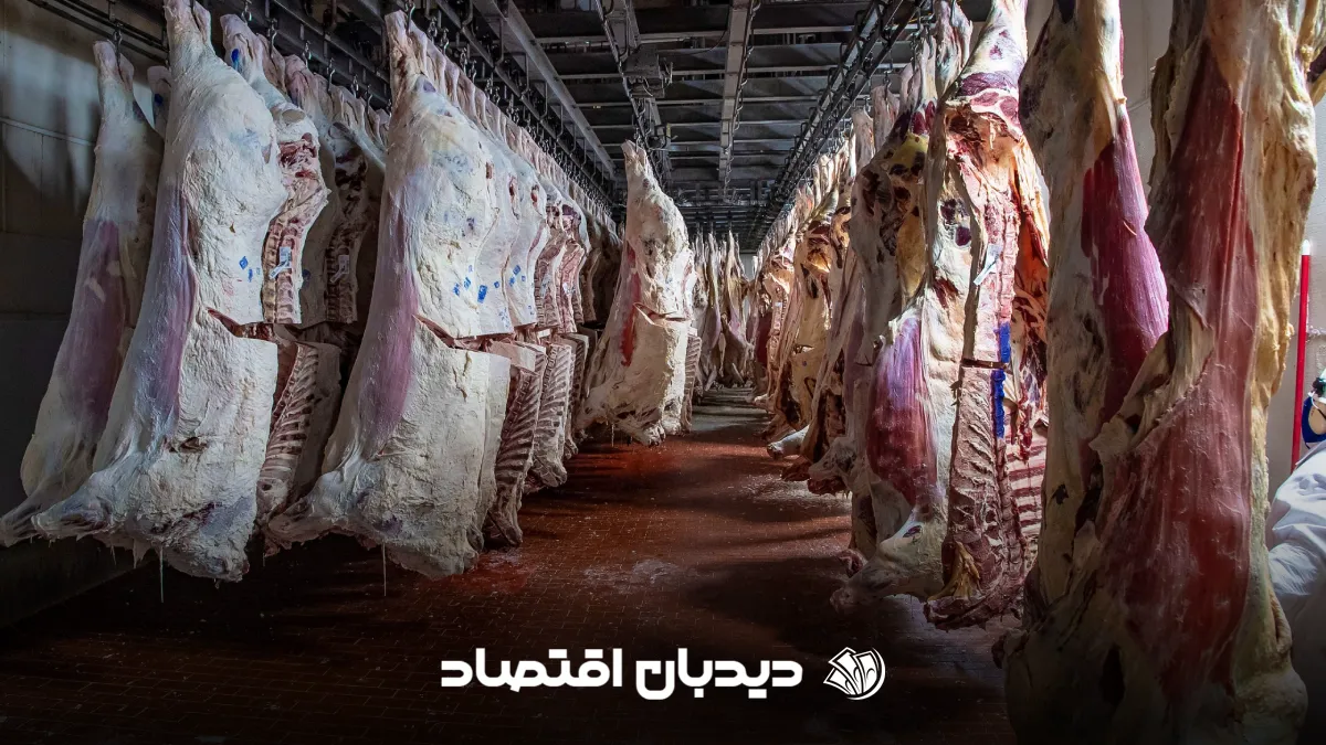 گوشت