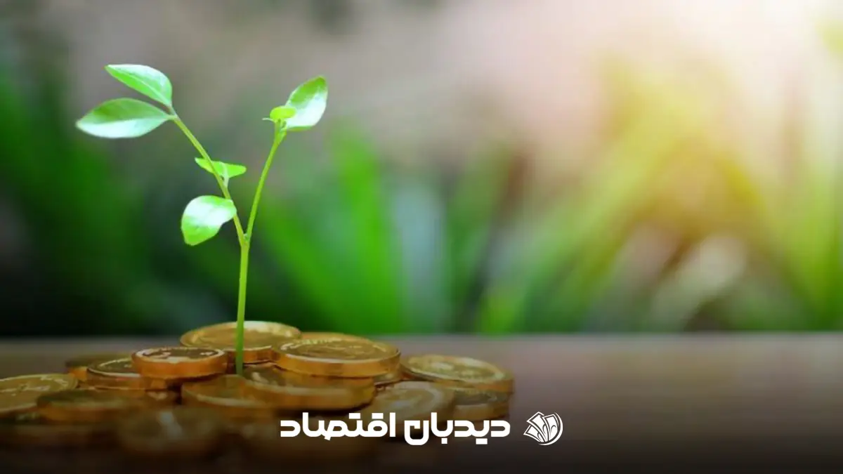 مدیریت سرمایه