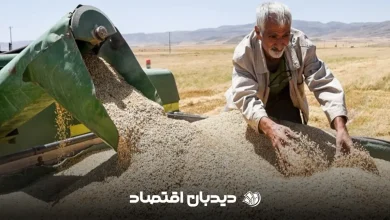 خرید گندم از کشاورز