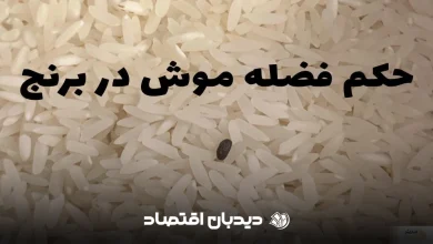 حکم فضله موش در برنج