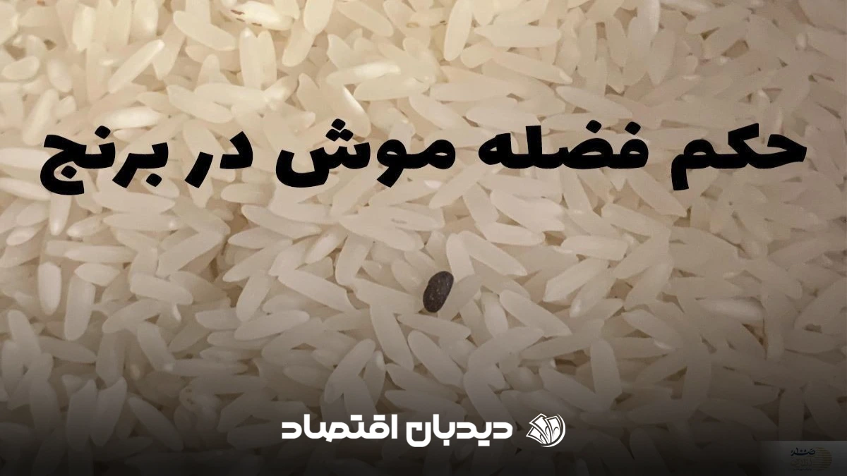 حکم فضله موش در برنج