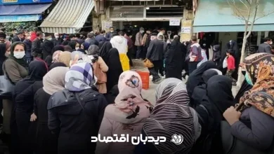 گوشت ارزان