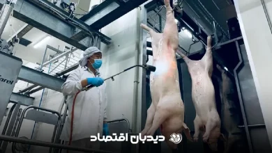 گوشت گراز