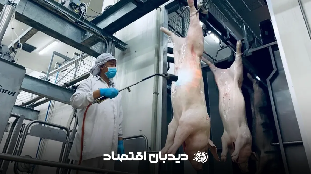 گوشت گراز