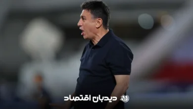 امیر قلعه نویی