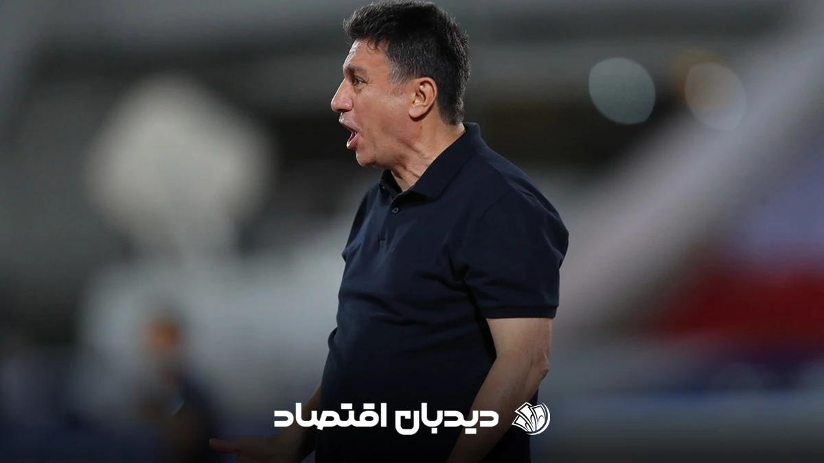 امیر قلعه نویی