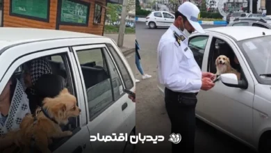 سگ گردانی در خودرو