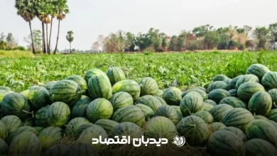 هندوانه