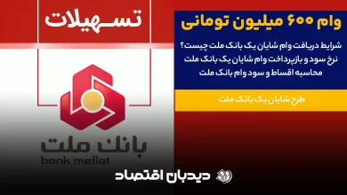 وام 600 میلیونی بانک ملت طرح شایان