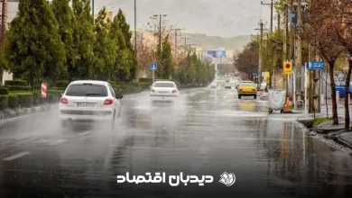 بارش باران