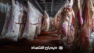 گوشت