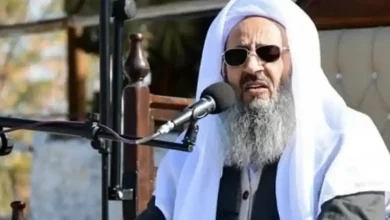 tagfokusمولوی عبدالحمید