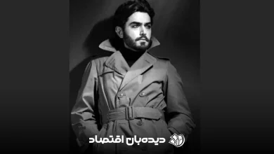 امیرحسین آکادمی گوگوش