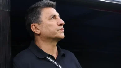 قلعه نویی