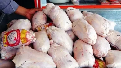 قیمت گوشت مرغ (2)