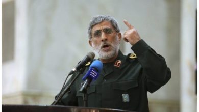 سردار قاانی
